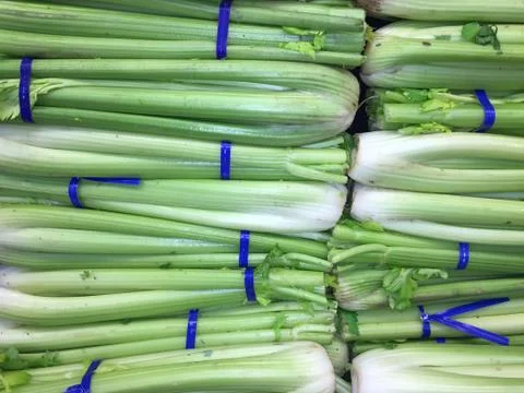 Celery Stock Photos