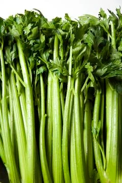 Celery Stock Photos
