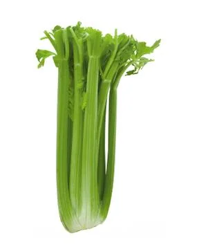 Celery Foto stock