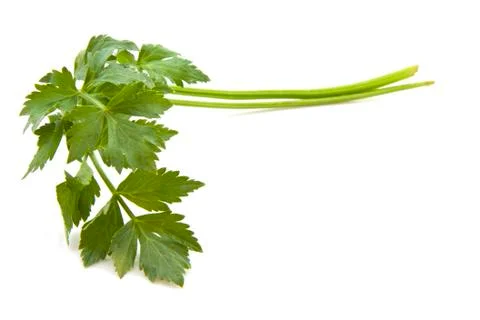 Celery Stock Photos