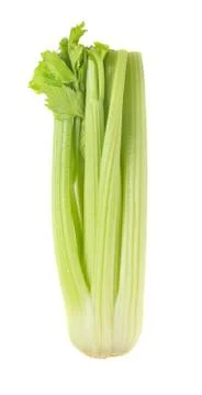 Celery Stock Photos