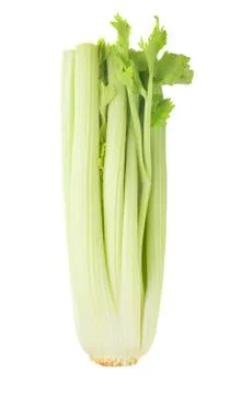 Celery Stock Photos
