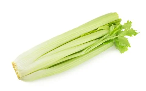 Celery Stock Photos