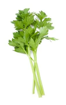 Celery Stock Photos