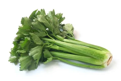 Celery Stock Photos