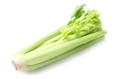 Celery Stock Photos