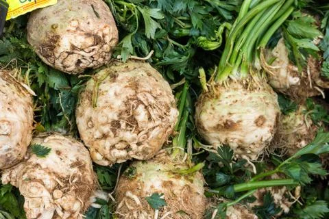 Celery on a pile Stock Photos