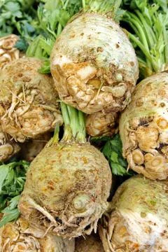 Celery root and leaves Stock Photos