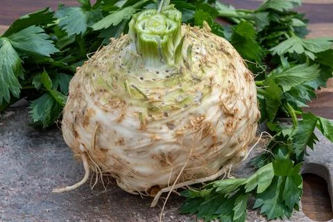 Celery root - celeriac, source of vitamins, fresh healthy vegetable, wedge Stock Photos