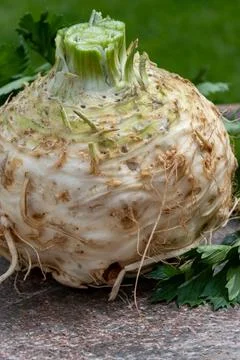 Celery root - celeriac, source of vitamins, fresh healthy vegetable, wedge Stock Photos