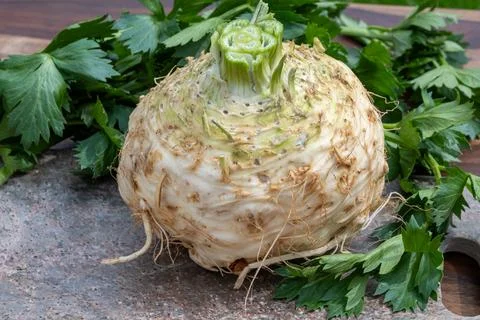 Celery root - celeriac, source of vitamins, fresh healthy vegetable, wedge Stock Photos