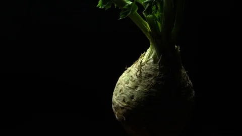 Celery Root Video stock 83219447