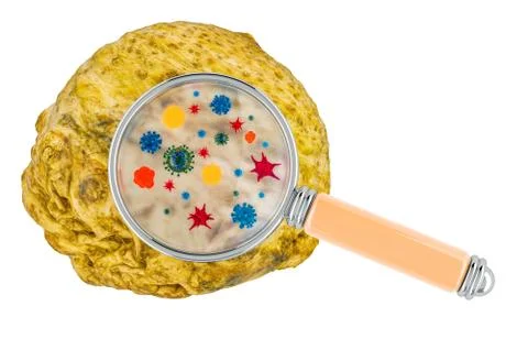 Celery root with germs, microbes or viruses under magnifying glass, 3D render Stock Illustration