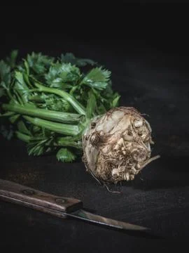 Celery root with green leaves on dark background. Stock Photos