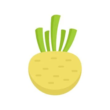 Celery root icon flat isolated Stock Illustration