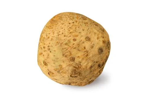 Celery root isolated on a white Stock Photos