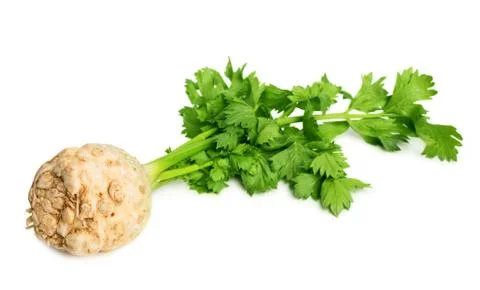 Celery root with leaves Stock Photos