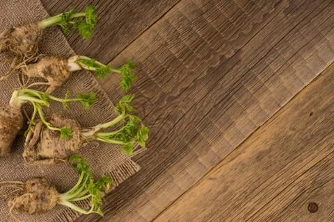 Celery root on the old wooden background Stock Photos