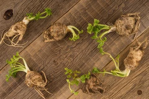 Celery root on the old wooden background Stock Photos