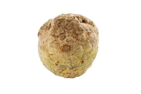 The celery root Stock Photos