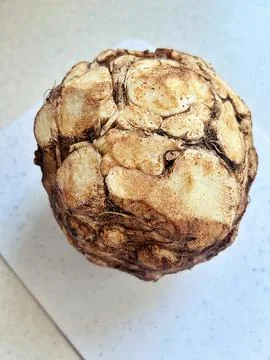 Celery root Stock Photos