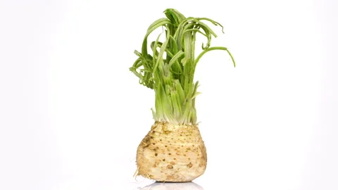 Celery root rotating on white background Stock Footage 171636814