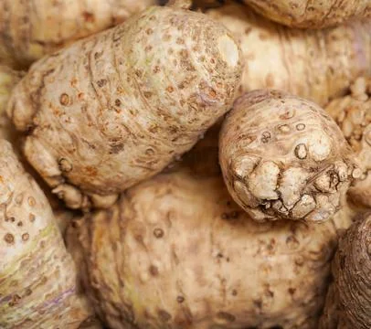 Celery roots background. Ecologically pure products of plant origin. Vegeta.. Stock Photos