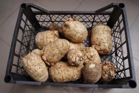Celery roots in the box close-up, top view Stock Photos