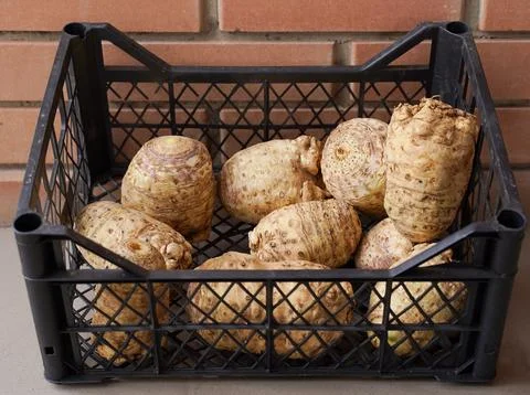 Celery roots in the box, top view Fotos Stock