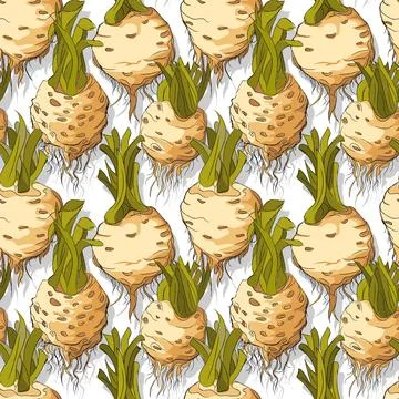 Celery roots repeating pattern editable vector template Stock Illustration
