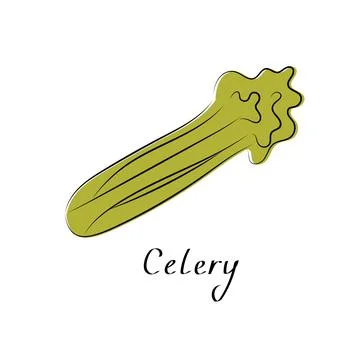 Celery sign. Fresh Vegetable isolated icon for farm market, vegetarian salad Stock Illustration