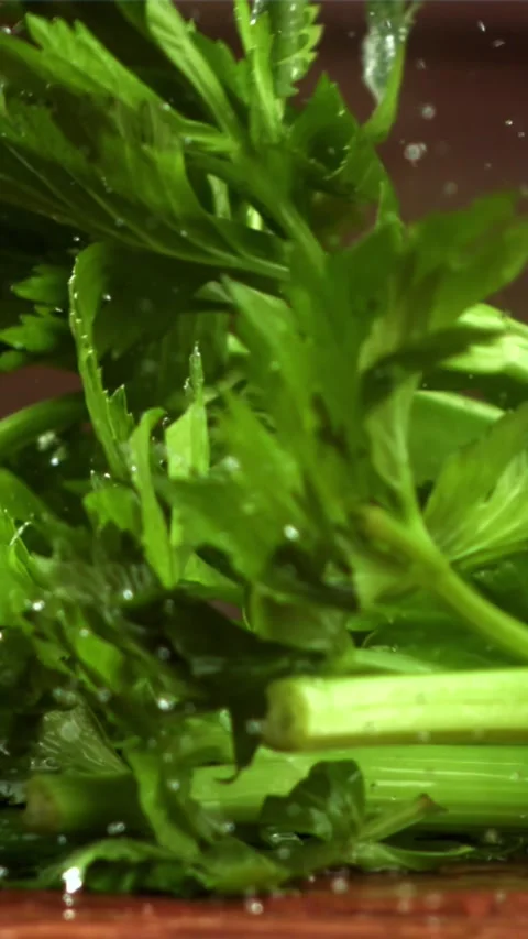 Celery sprigs fall on a wet table. Filmed on a high-speed camera at 1000 fps Stock Footage 335309828
