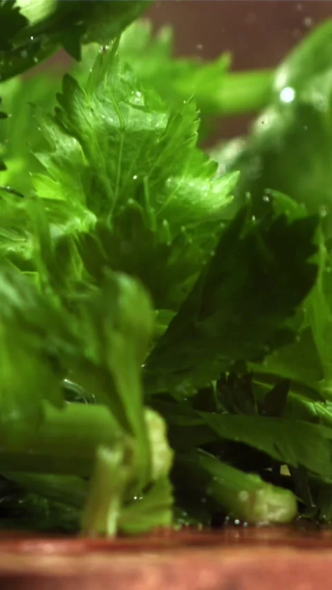 Celery sprigs fall on a wet table. Filmed on a high-speed camera at 1000 fps Stock Footage 335320396