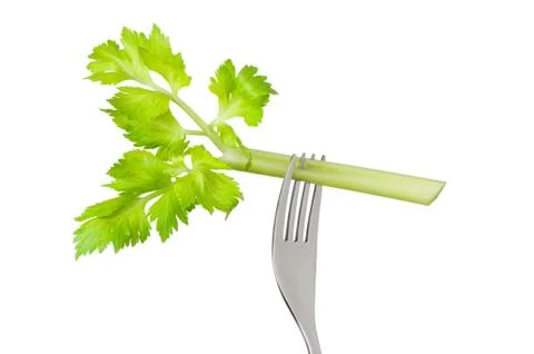 Celery stalk on fork isolated Stock Photos