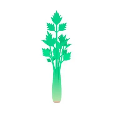 Celery stem isolated on white background Stock Illustration