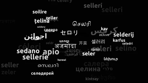 Celery Translated in 66 Worldwide Languages Endless Looping 3d Zooming Wordcl Stockbeeldmateriaal 145195043