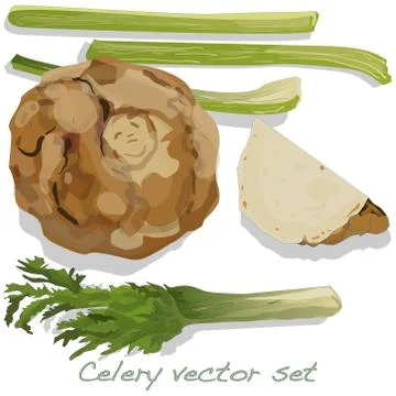 Celery vector collection isolated Stock Illustration