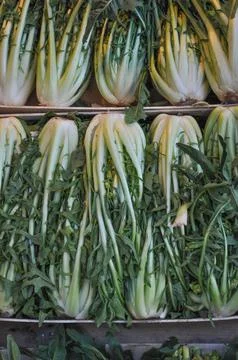 Celery vegetable Stock Photos