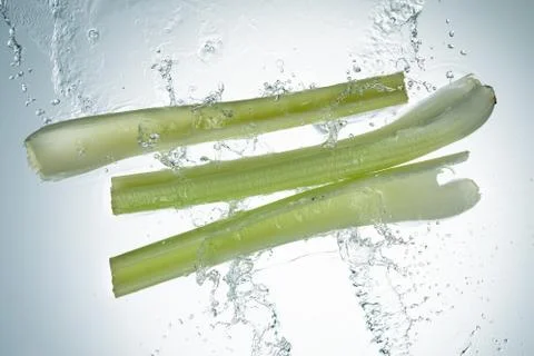 Celery Water Splash Stock Photos
