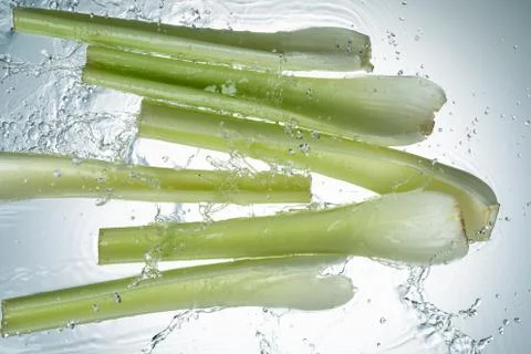 Celery Water Splash Stock Photos