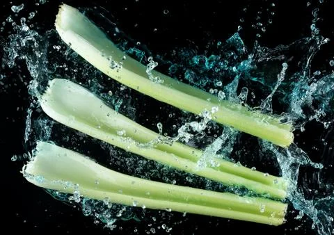 Celery Water Splash Stock Photos