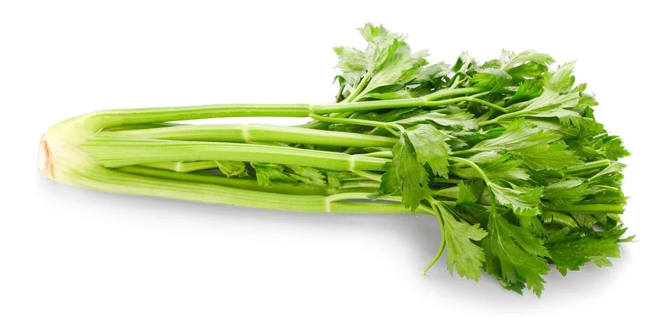 Celery On a white background Stock Photos