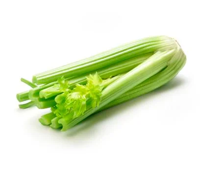 Celery on white Stock Photos