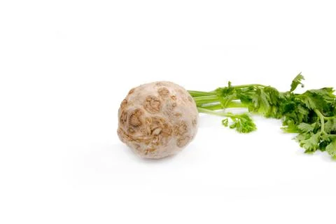 Celery on white Stock Photos