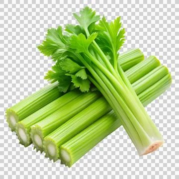 Celerys-isolated-on-white-background Stock Photos