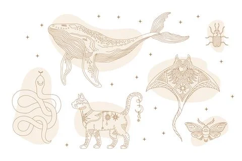 Celestial abstract magic animals vector set illustration Stock Illustration