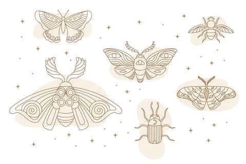 Celestial abstract magic insects vector set illustration Stock Illustration