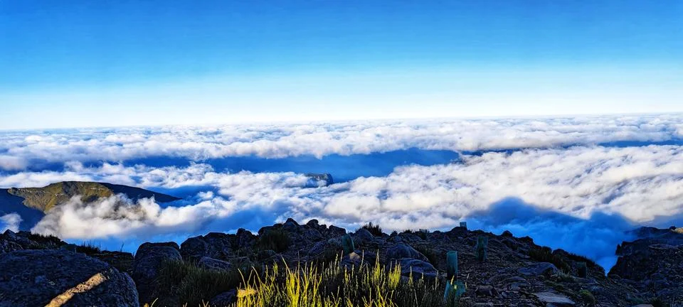 Celestial Canvas Stock Photos