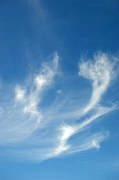 Celestial dragon Foto stock