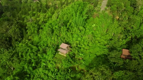 Celestial Heights: Exploring 4K Cloud-Wrapped Peaks in the Jungle's Domain Stock Footage 244475436